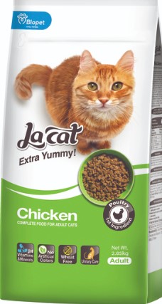 Dog Food