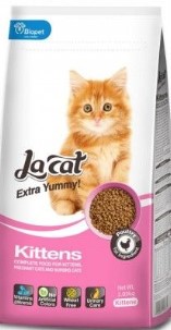 Dog Food