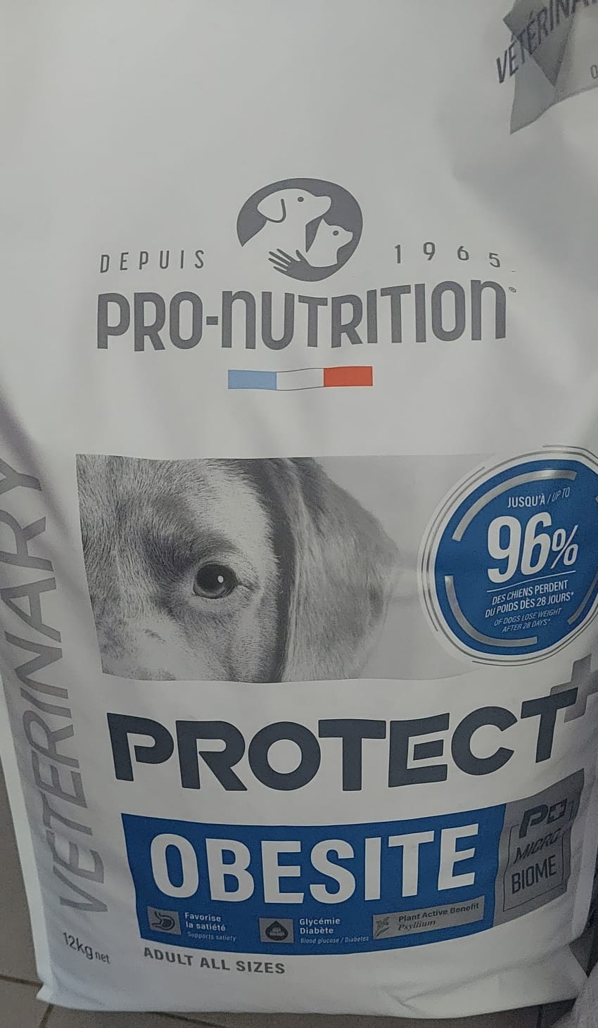 Dog Food