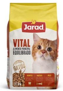 Dog Food