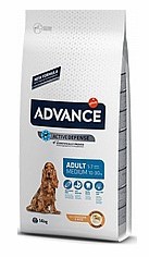 Dog Food